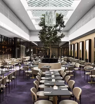 A spacious, modern restaurant with a high glass ceiling and a large tree centerpiece. Rows of beige chairs and tables with white tablecloths are arranged neatly on a purple carpet. Warm lighting and contemporary decor create an inviting ambiance.