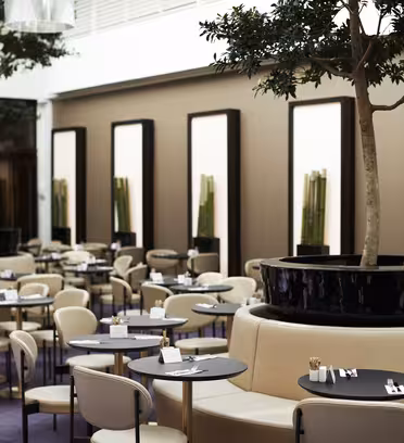 Stylish restaurant interior featuring round tables with beige chairs, elegant black table settings, and modern decor. Large planters with tall green plants enhance the ambiance under soft lighting.